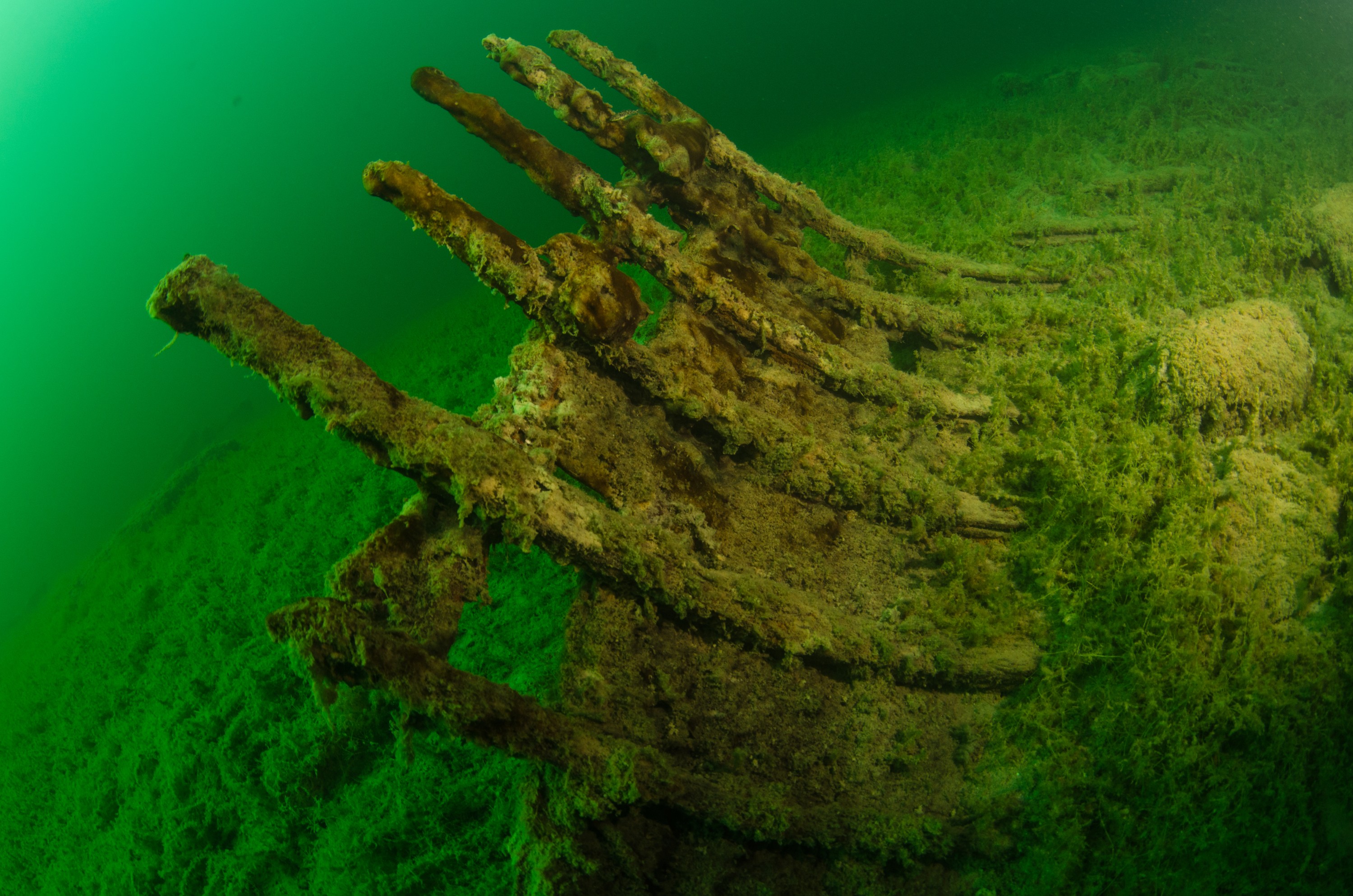 DSC_2885 – Crispin, nz, new, zealand, new zealand, freshwater, lakes, Waikaremoana, whaling, boat, wreck, 1869, secret, hard to find, history, maori, war,
